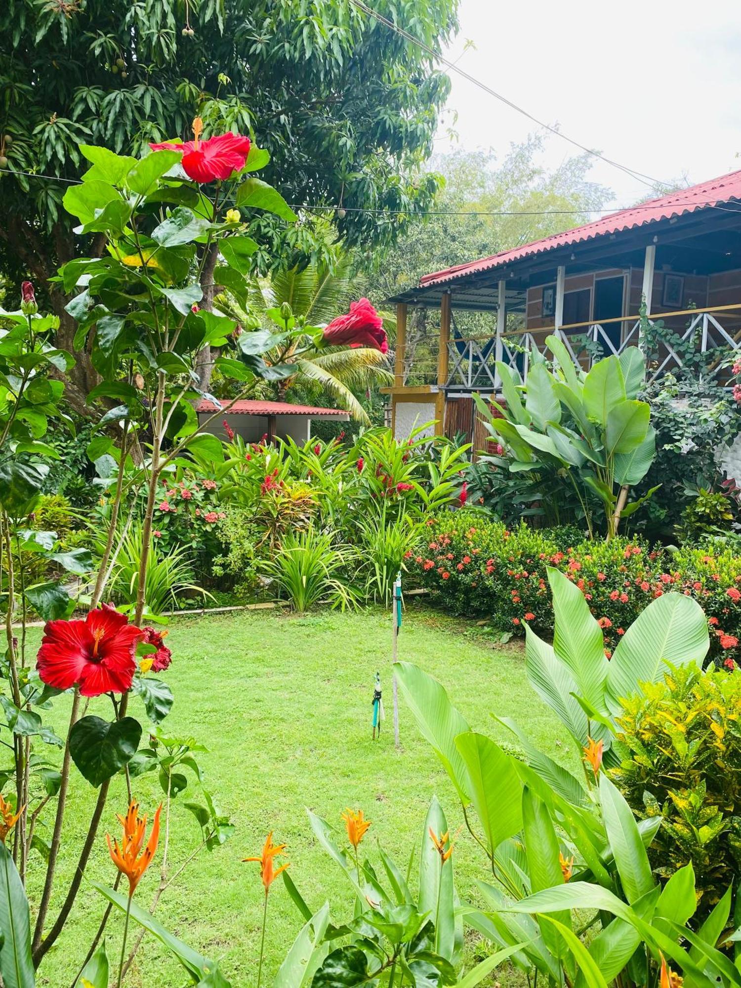Wayanay Tayrona Eco Hostel เอลไซโน ภายนอก รูปภาพ