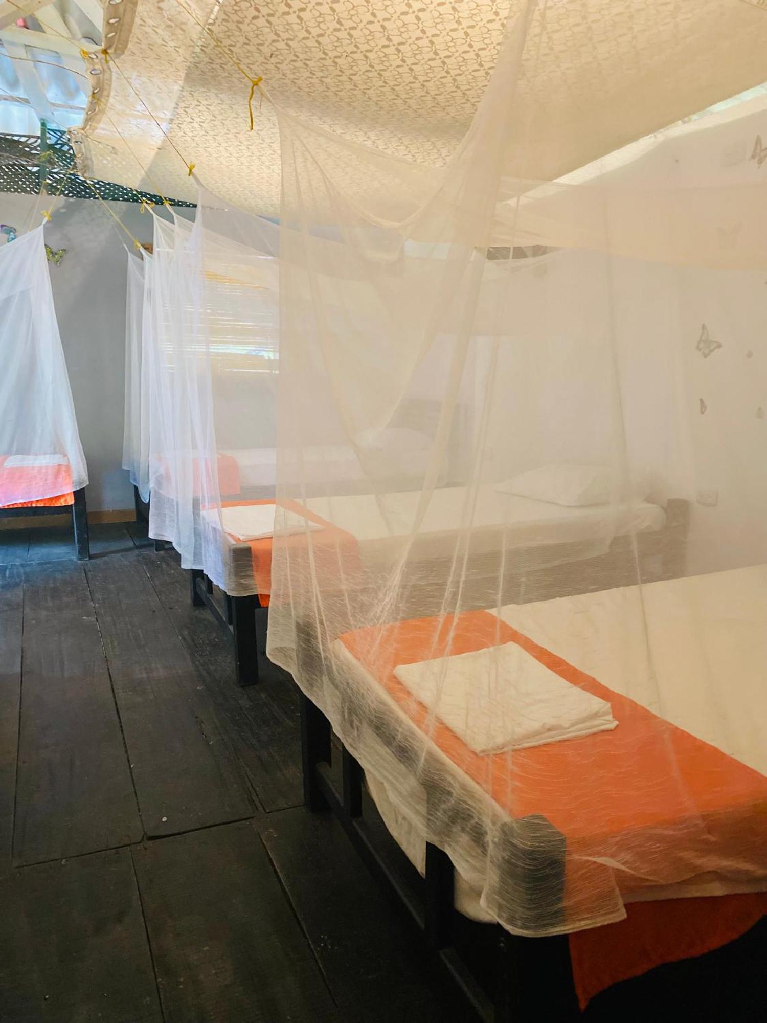 Wayanay Tayrona Eco Hostel เอลไซโน ภายนอก รูปภาพ